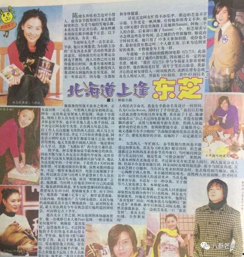 娱乐圈吃瓜的句子,幕后真相与明星隐私曝光