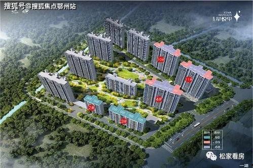 娱乐吃瓜酱星途报价,星途报价揭秘，明星身价大起底！